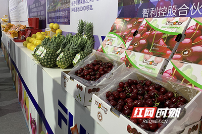 周末果品會 繽紛水果盛宴，盡享舌尖上的甜蜜時光