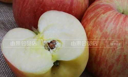 迎中秋慶國慶工廠店水果便宜到真要命